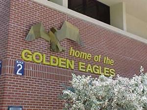 NHS Home of the Golden Eagles 